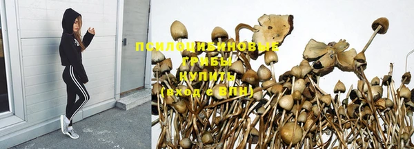 трава Абдулино