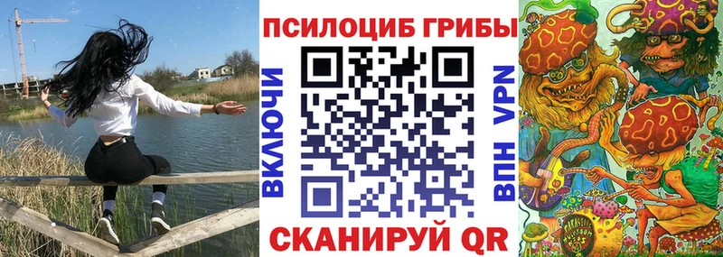 Псилоцибиновые грибы Psilocybine cubensis  Александровск-Сахалинский 